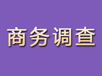 广平商务调查